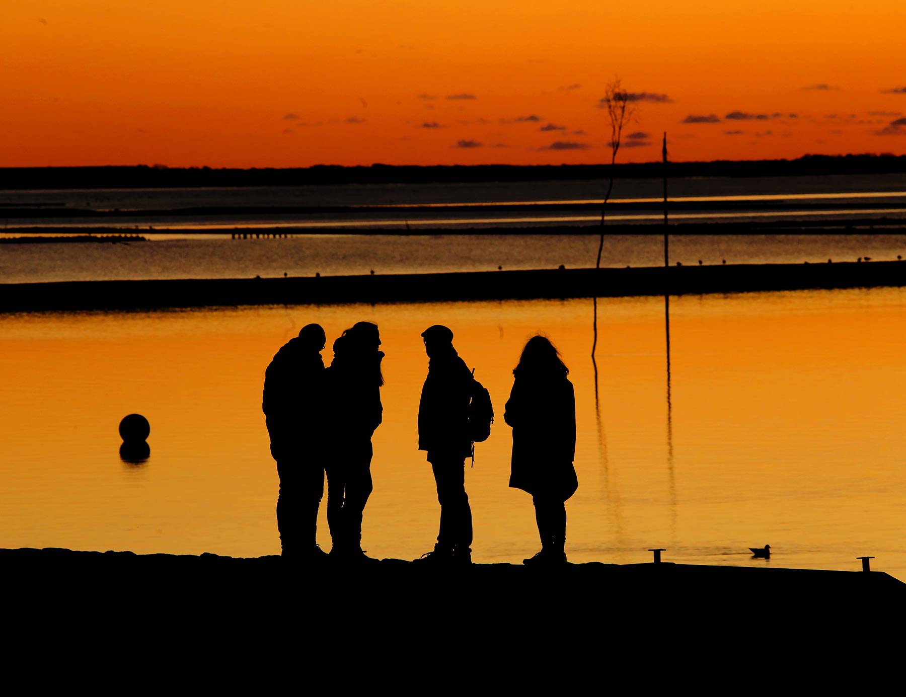 52514759785 F06f600000 O Retus