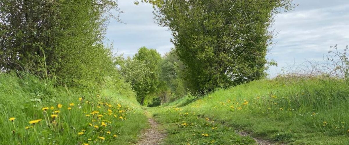 Wege in Nordfriesland Seelsorge Gespräche