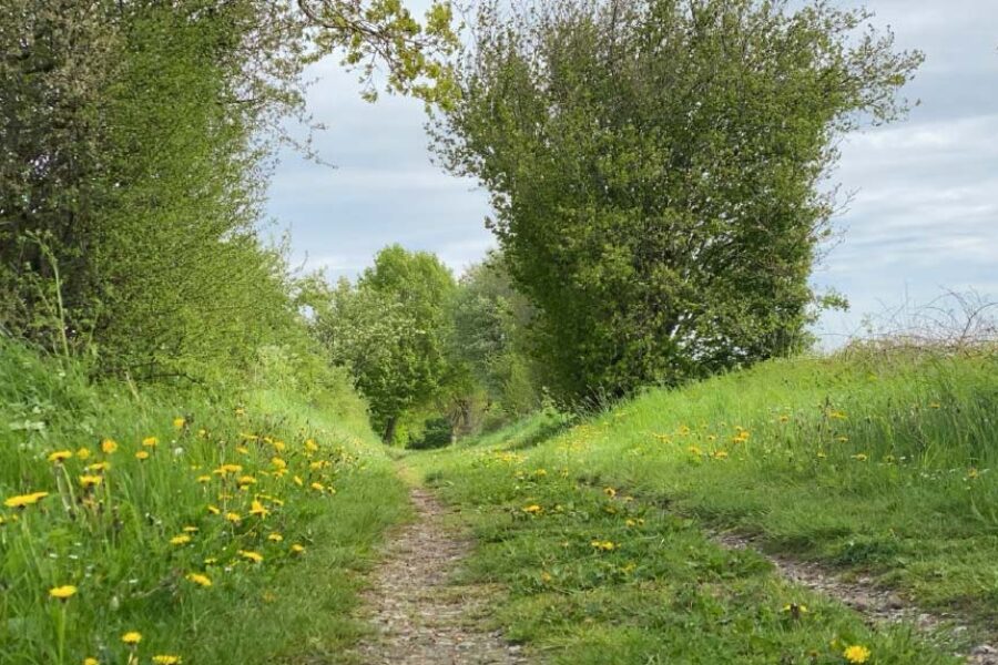 Wege in Nordfriesland Seelsorge Gespräche