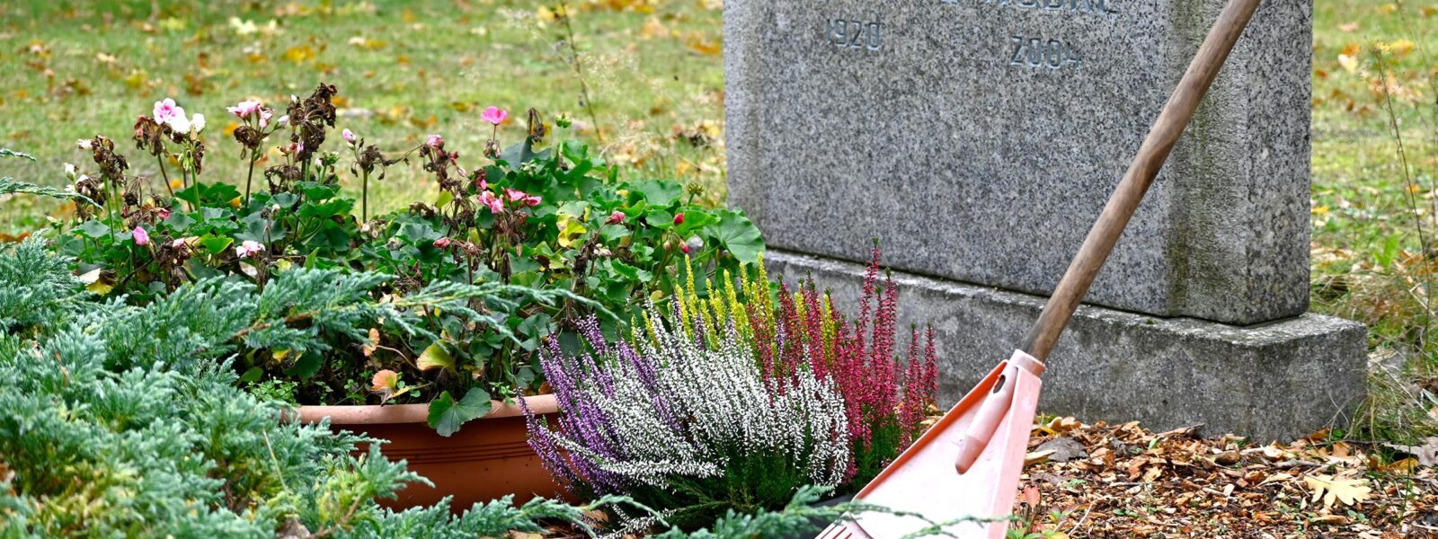 Kirche Nf Dienste Und Werke Friedhof 01 Fullwidth